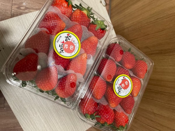 d427da4e16bf78b5495d370182affa06_1743562