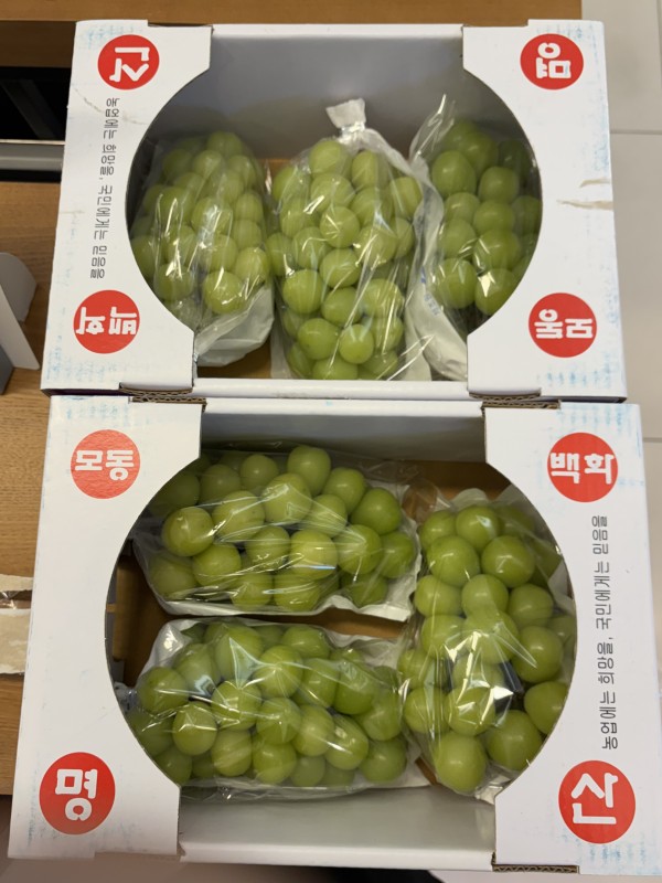 9156689e50075e552be9f3d8383f2fc7_1746088