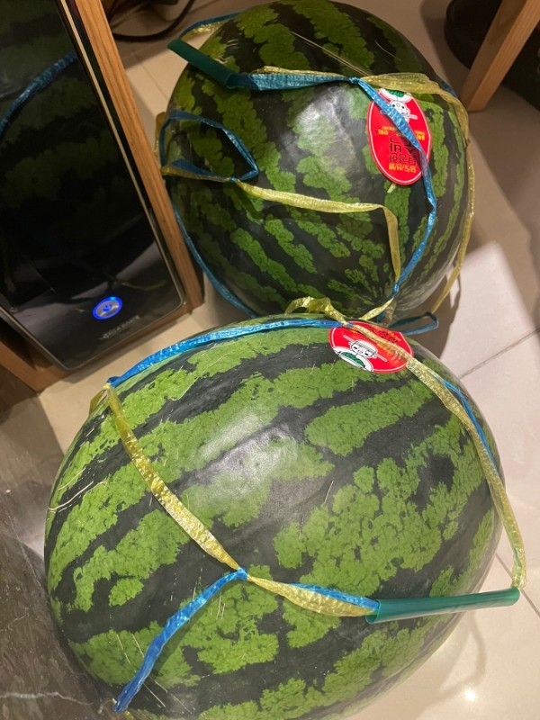 5f54fe8ac46bd2d00962307d185cd0e1_1751445