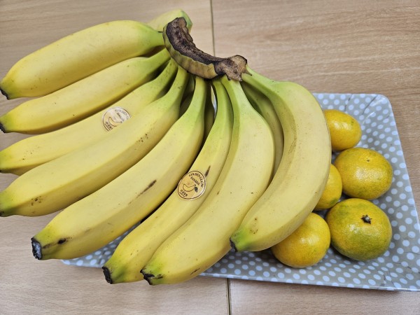 7f248ead7a1accddbc090a9d36952d03_1759372