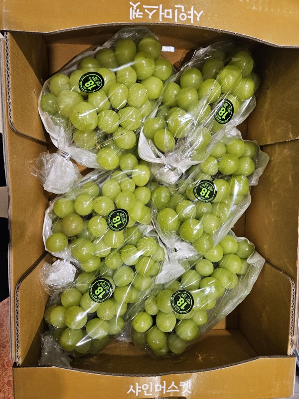 fe5578a81e6cf819f364be434747c700_1762157