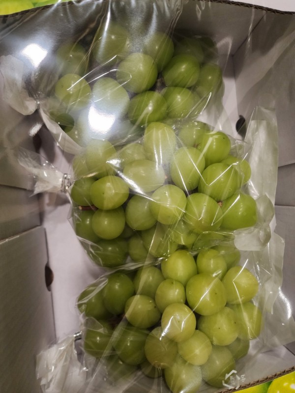 89513d5227a680b1e399c1c14d18c8f1_1764576