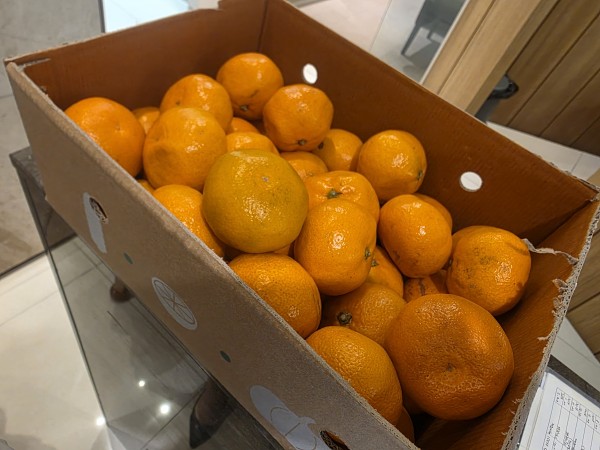 782d2d071bf3eb8941c0b8e733fa29c0_1767596