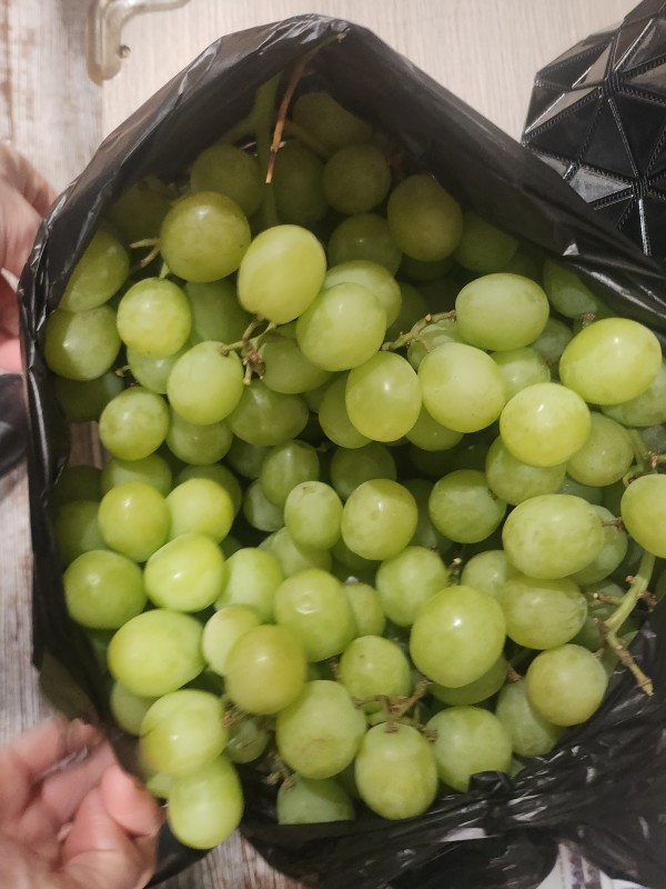 b859116f85de8643d4fc0e1aa6212780_1775033